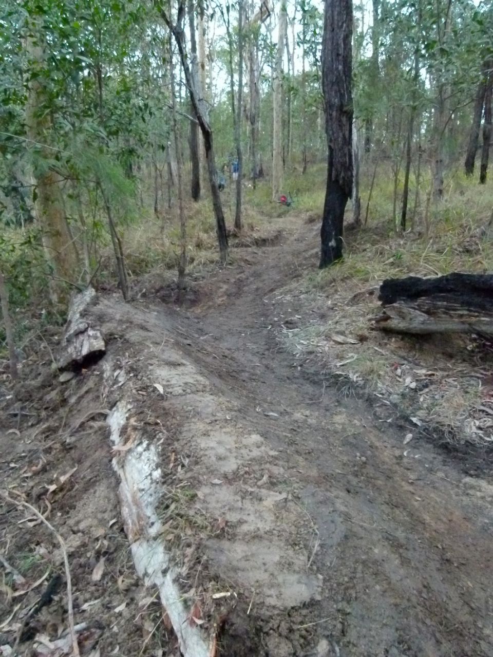 Original berm